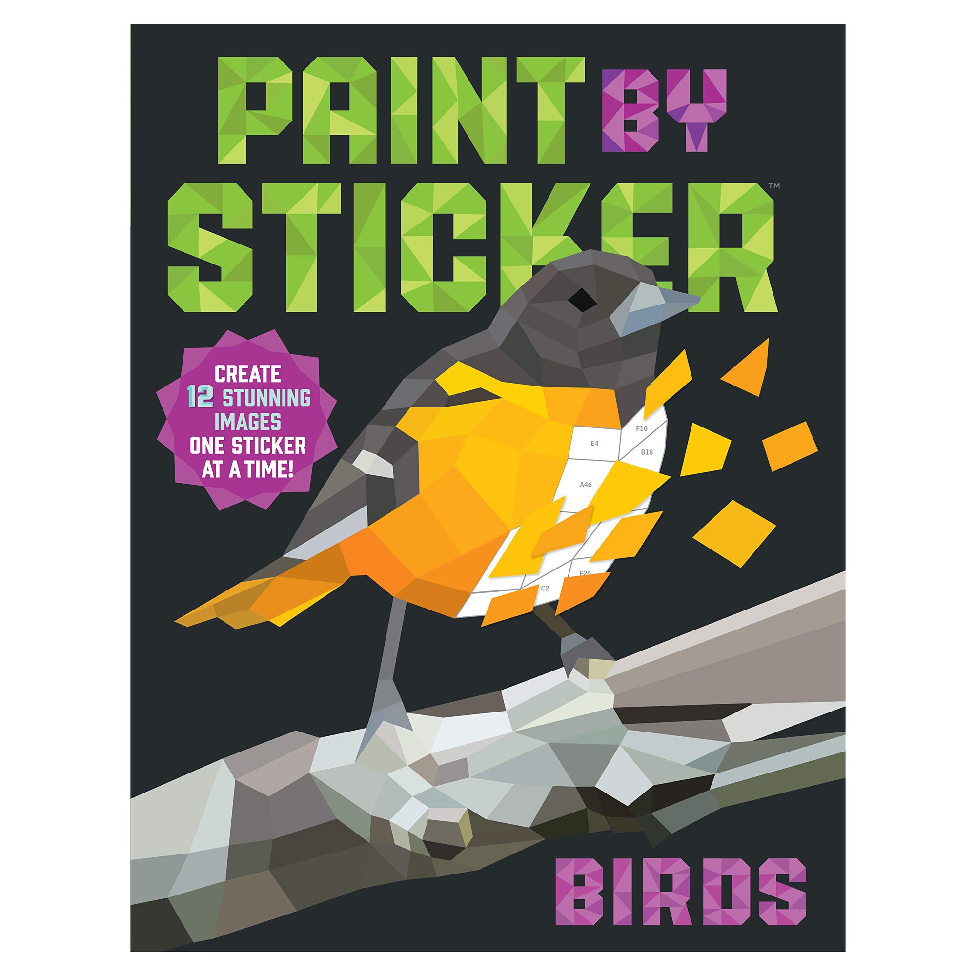 Paint by Sticker Birds