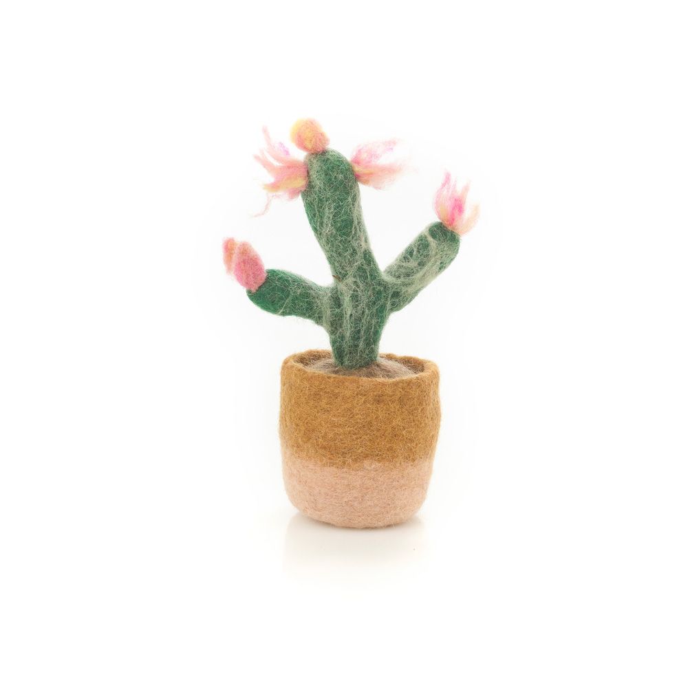 Felt So Good Pink Cactus