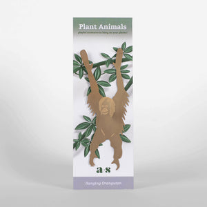 Another Studio Orangutan Plant Animal Packaging