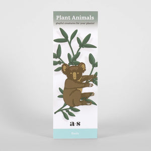 Another Studio Koala Plant Animal Packaging
