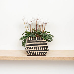 Studio Wald Pot Screen Cubed With Plant
