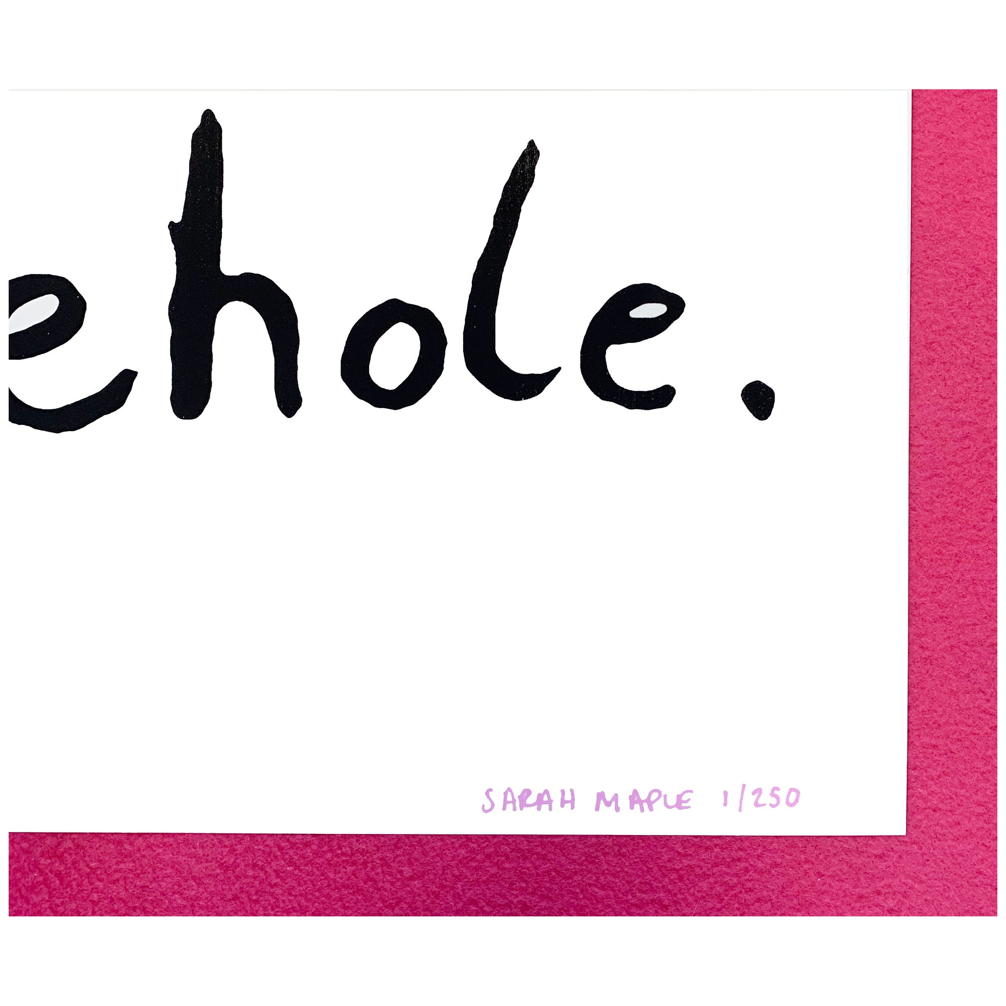 Sarah Maple The Opposite to a Feminist is an Arsehole Print Detail