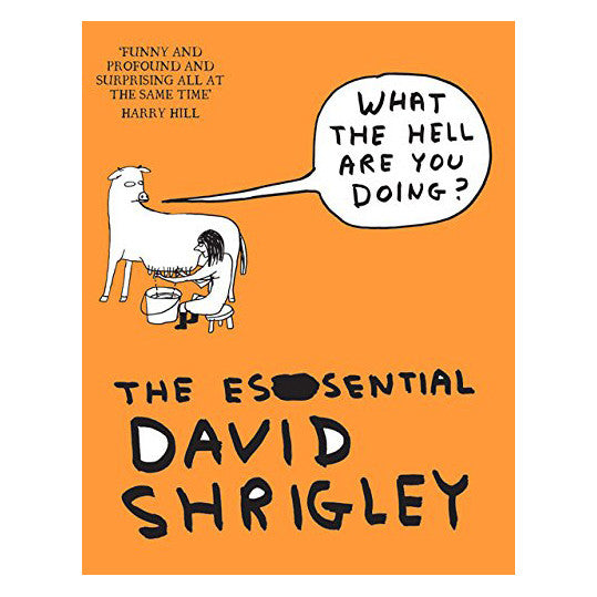 The Essential David Shrigley What the Hell Are You Doing?